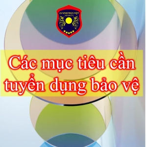 tuyen-viec-lam-bao-ve-go-vap-binh-thanh-binh-tan-binh-chanh-quan-10-duc-hoa