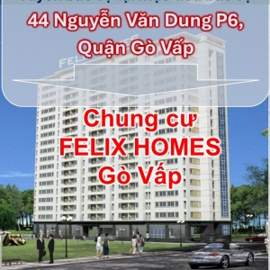 tuyen-dung-bao-ve-tai-muc-tieu-chung-cu-felix-homes-go-vap